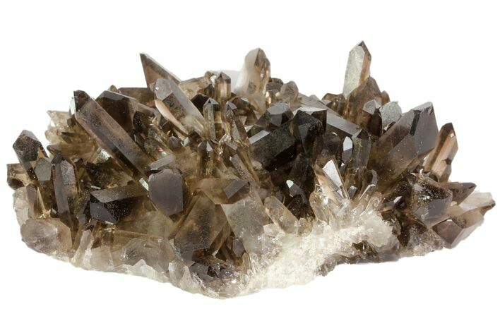 Beautiful, Smoky Quartz Crystal Cluster - Brazil #79930